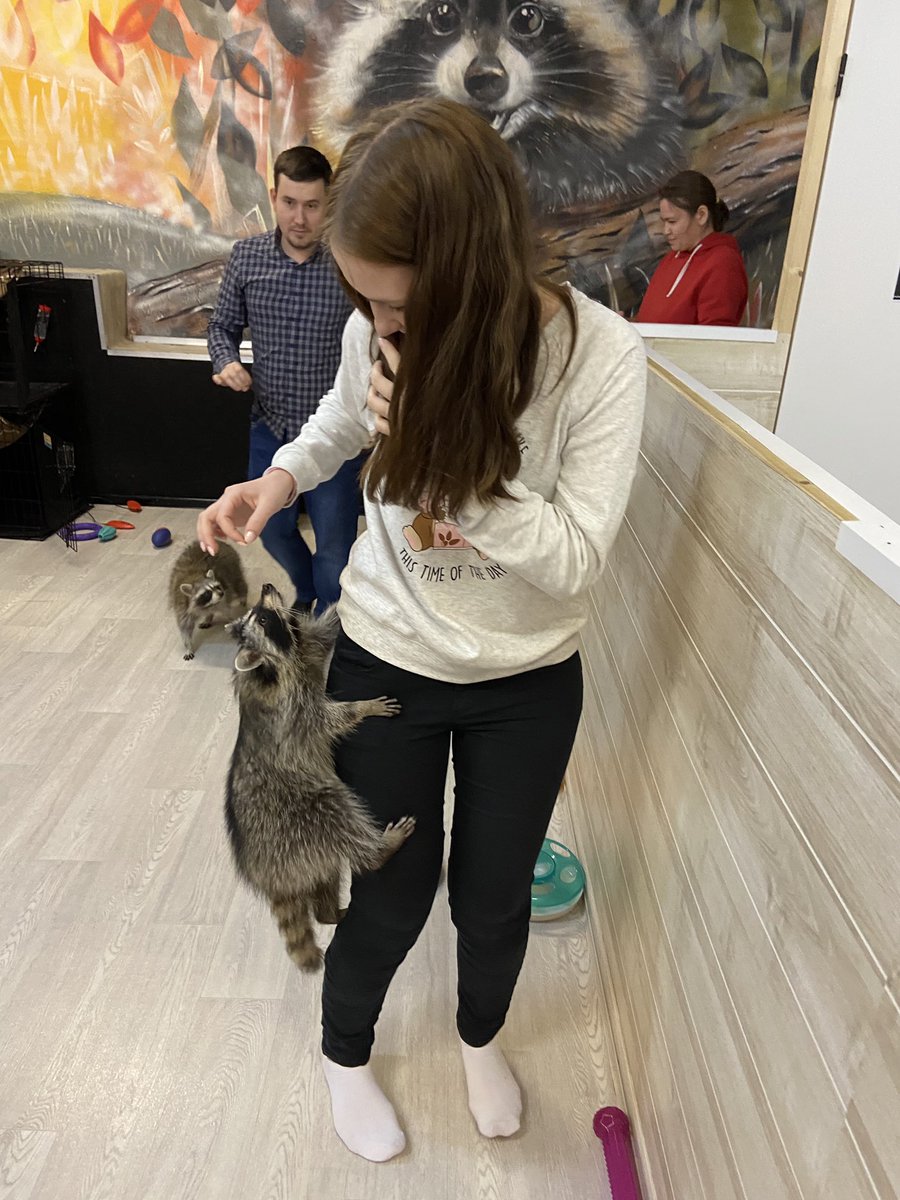 Мерлайн tweet media