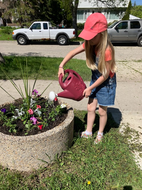 CarpathiaSchool's tweet photo. Education for sustainable development grants allows us to purchase flowers for the front of the school. #WSDESD @WinnipegSD https://t.co/90UBoJFSl6