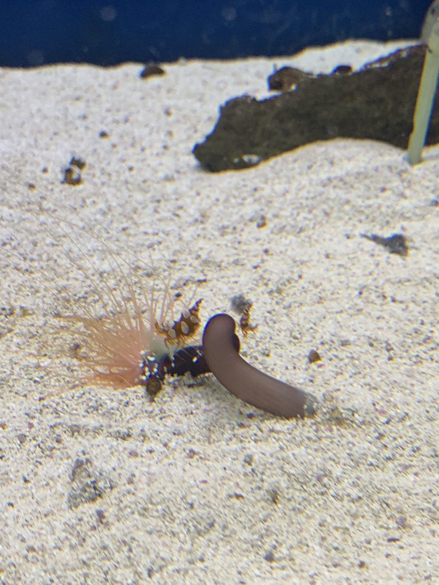 Nicole Mastrianni tweet media