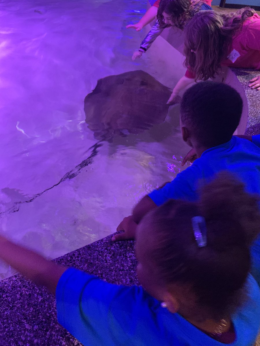 Nicole Mastrianni tweet media