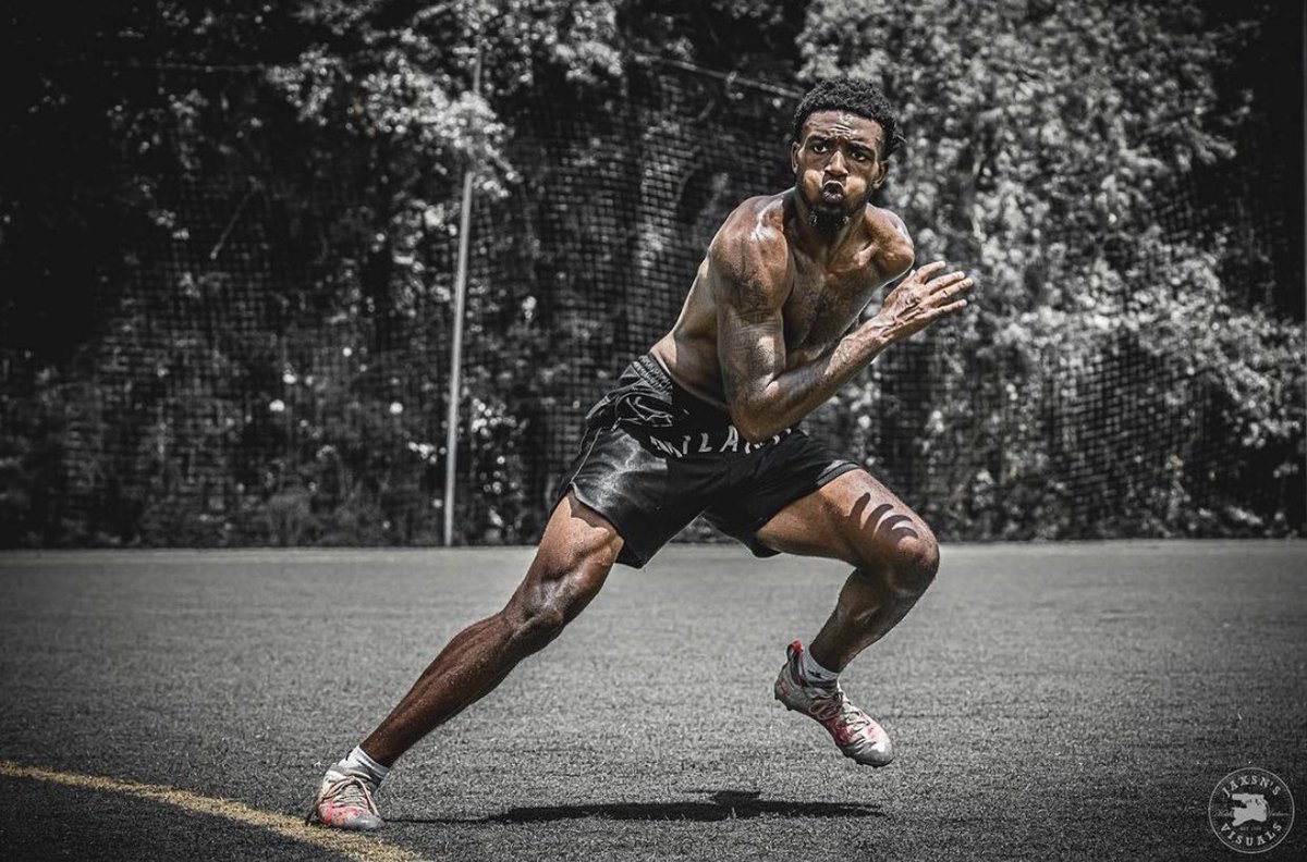 3DaRebel tweet media