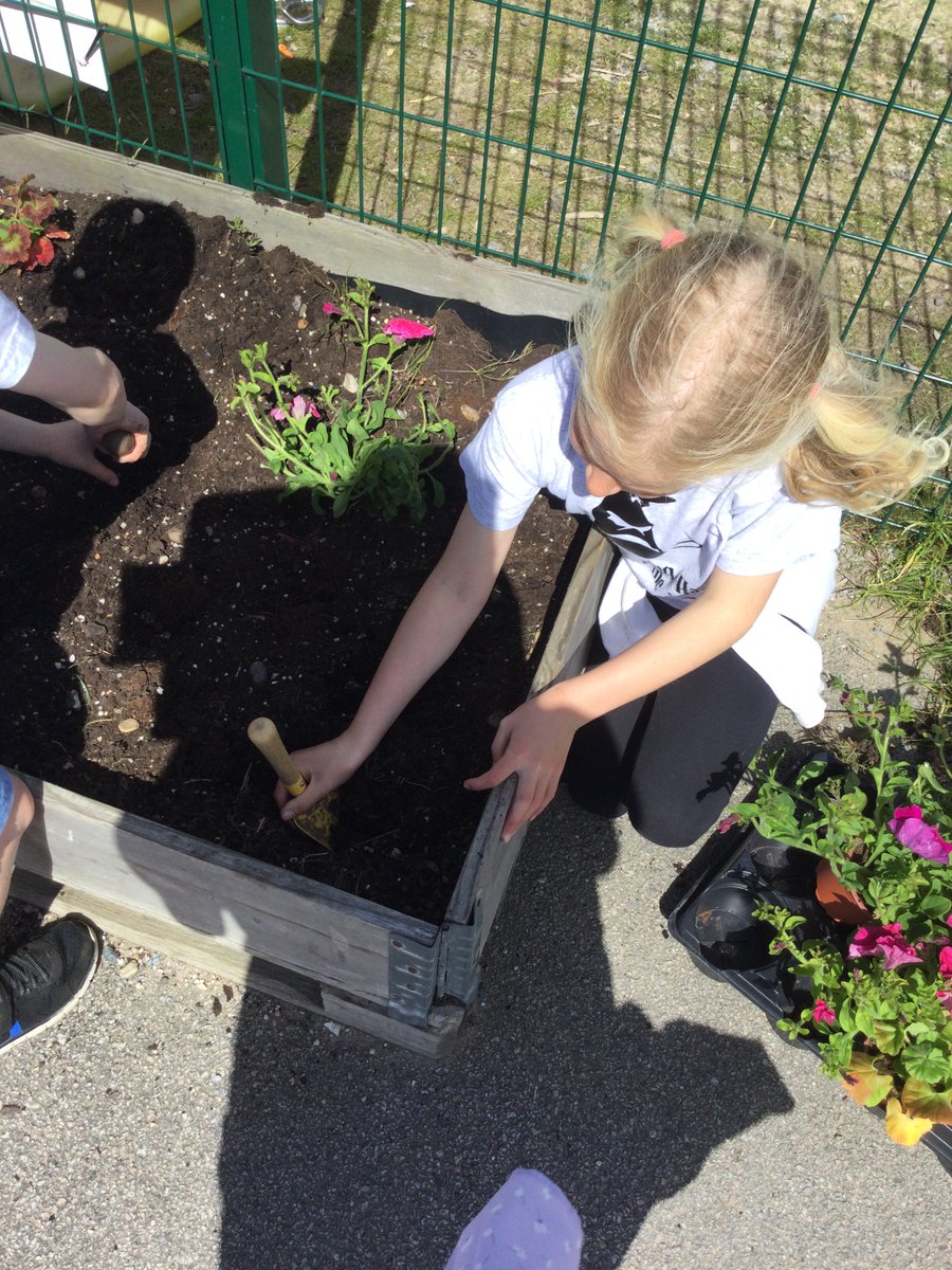 SchoolHillside1's tweet photo. #P2LWHillside had a lovely afternoon in the sunshine planting some flowers to brighten up our playground☀️🌸🌼🌺 https://t.co/9Xdl5zi0f8