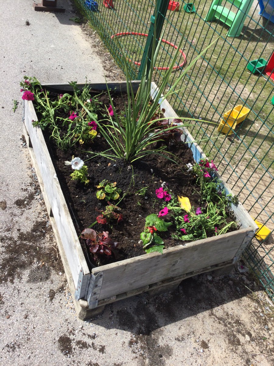 SchoolHillside1's tweet photo. #P2LWHillside had a lovely afternoon in the sunshine planting some flowers to brighten up our playground☀️🌸🌼🌺 https://t.co/9Xdl5zi0f8