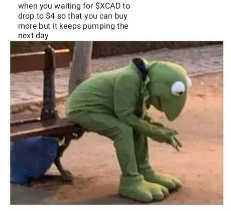 XcadNews's tweet photo. It do always be like that
#XcadComp $XCAD #XCAD #Watch2Earn https://t.co/qL2BmxJ7HI