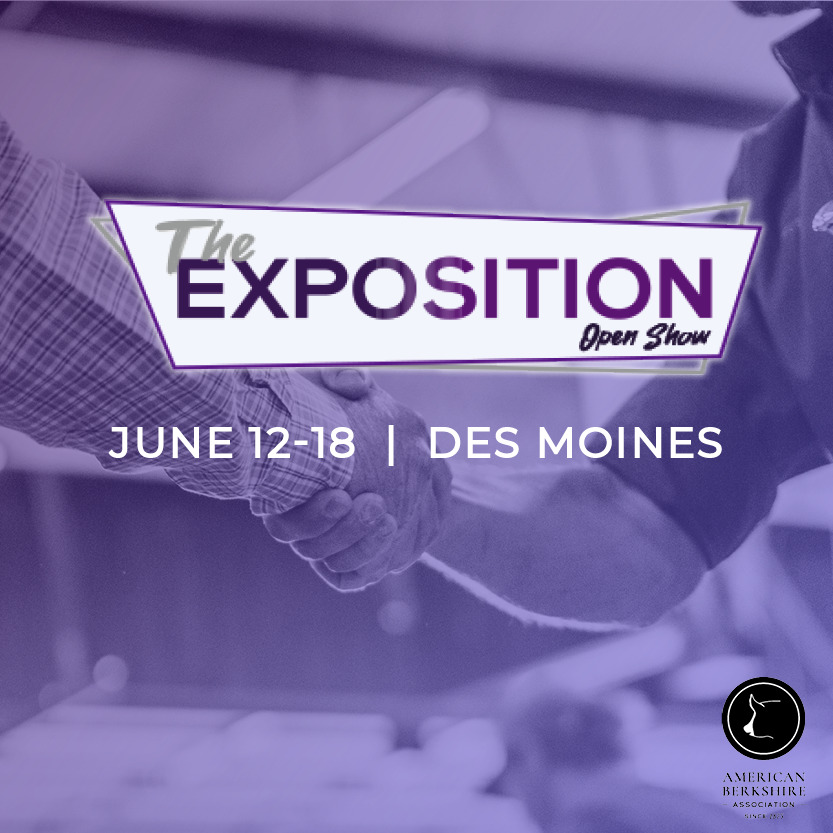 We're excited to welcome showmen from across the country to Des Moines for the 2022 Exposition! The ABA office will have limited staff during this time. 

For questions, please contact Cory Edge at 765-602-3969

Find Expo info at: americanberkshire.com/the-exposition/