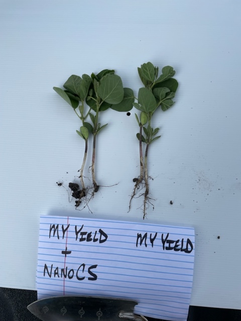 nanoyield's tweet photo. We love trialing our technology with other technologies.  In this seed treatment trial we tested MyYield, a proprietary blend of fungicide and insecticide, with our NanoCS.  NanoCS is a robust combination of balanced NPK, zinc, and biostimulant.
#seedtreatment #aquayield #nanocs https://t.co/KMyQuNFRJt