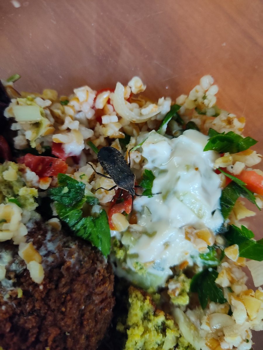 Some days...well are just full of hiccups.  My lunch had a surprise for me today. Can you find it? Yikes!