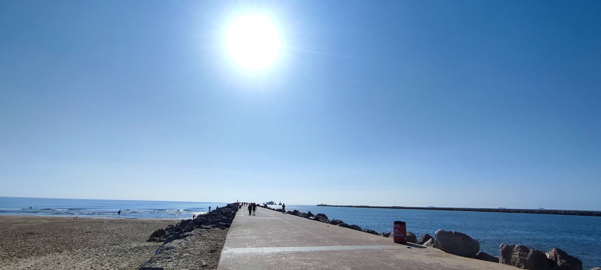 amarcadia's tweet photo. Mañana iré a ver los manatíes a la laguna, ¿y tú?
Espero se encuentren bien estos animalitos y conviviendo amablemente con los cocodrilos.
Abrazos y buen fin de semana a todos.
Have a beautiful weekend, #Spoonie friends
#MarCalmo
#Tampico #Miramar
#Tamaulipas https://t.co/0hwO22eQwX