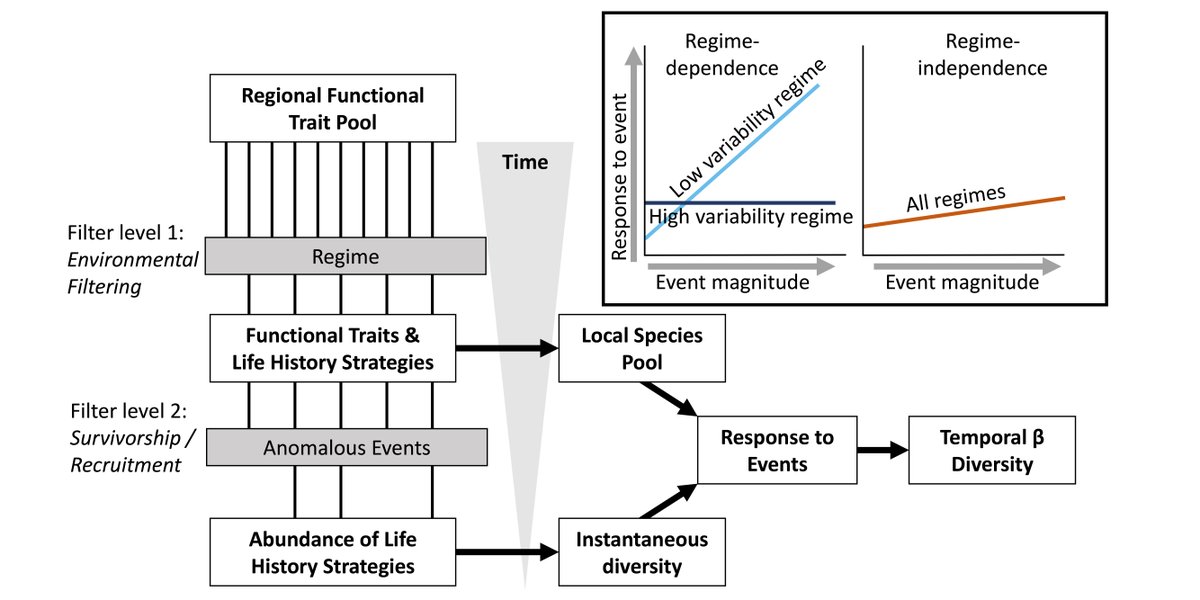 ESAEcosphere's tweet photo. From our #FreshwaterEcology track:

In #DesertStreams, variability in flow acts as a filter on #fish community composition - and determines how those communities respond to #floods

https://t.co/imnTpYEfYa

#OpenAccess #NSFFunded @NSF @EthanBaruch @Albert_Ruhi @harmstk @saboByH2O https://t.co/jcz5KE0GYi