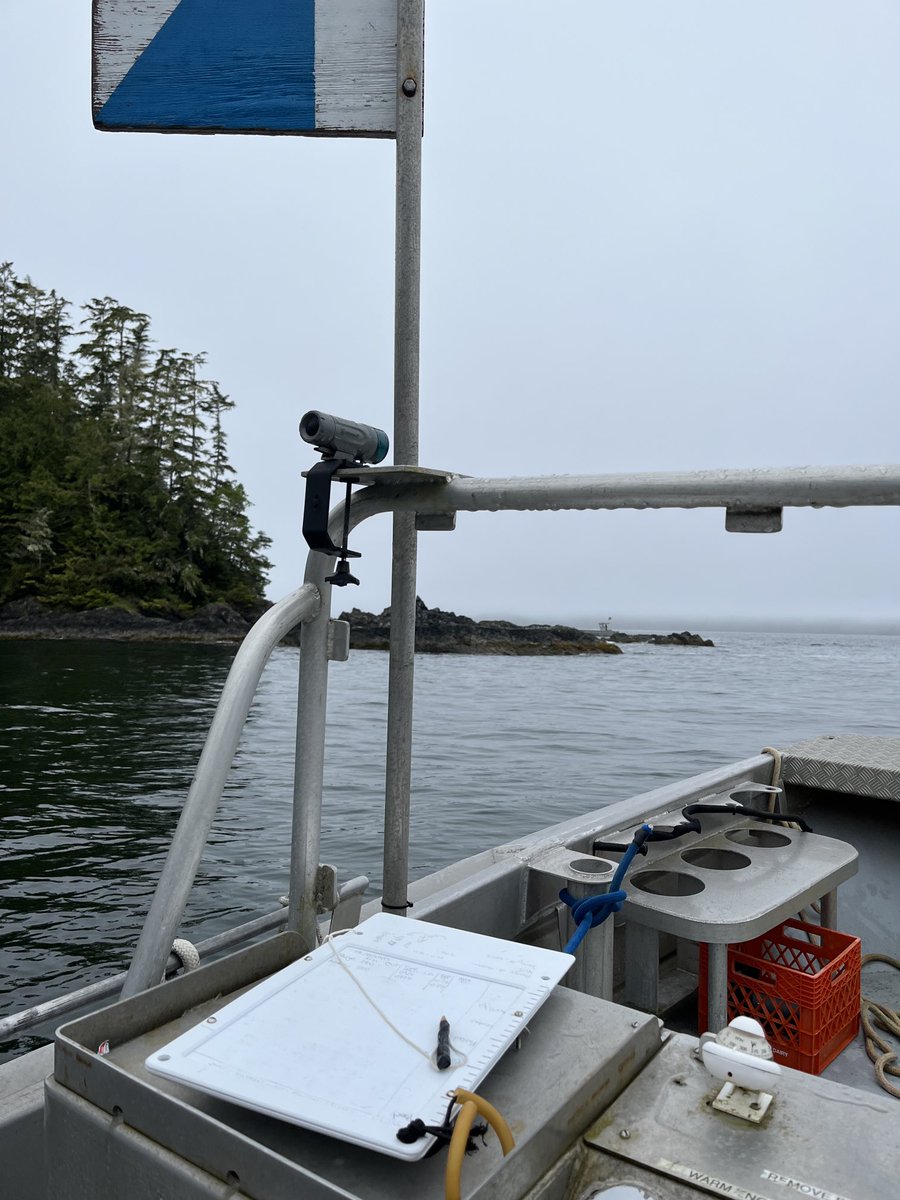 redlipblenny's tweet photo. Dive tending for my #SubtidalScience students is always a good time for reflection (while watching their bubbles, of course) ⁦⁦@BamfieldMSC⁩ https://t.co/ZcqGxdVAv9