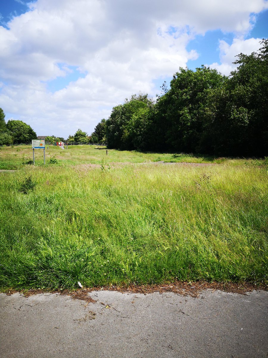 bignutty77's tweet photo. @seftoncouncil nice little walk to Copy Lane Park today... you should be embarrassed at the state of the place.  The kids play park is so bad it wouldn't look out of place in Chernobyl! https://t.co/eNMY8F9Nki