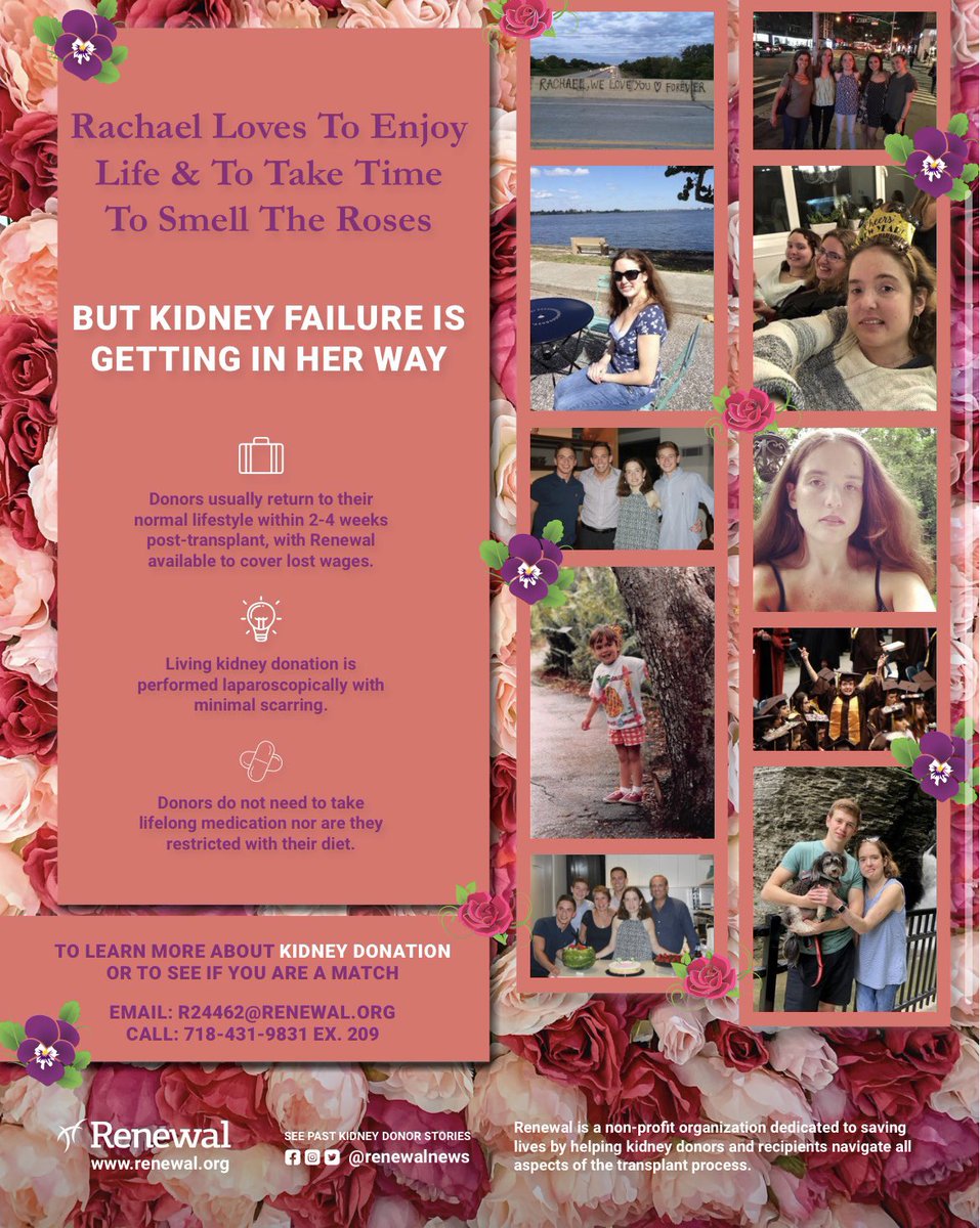 Shira Stoll tweet media