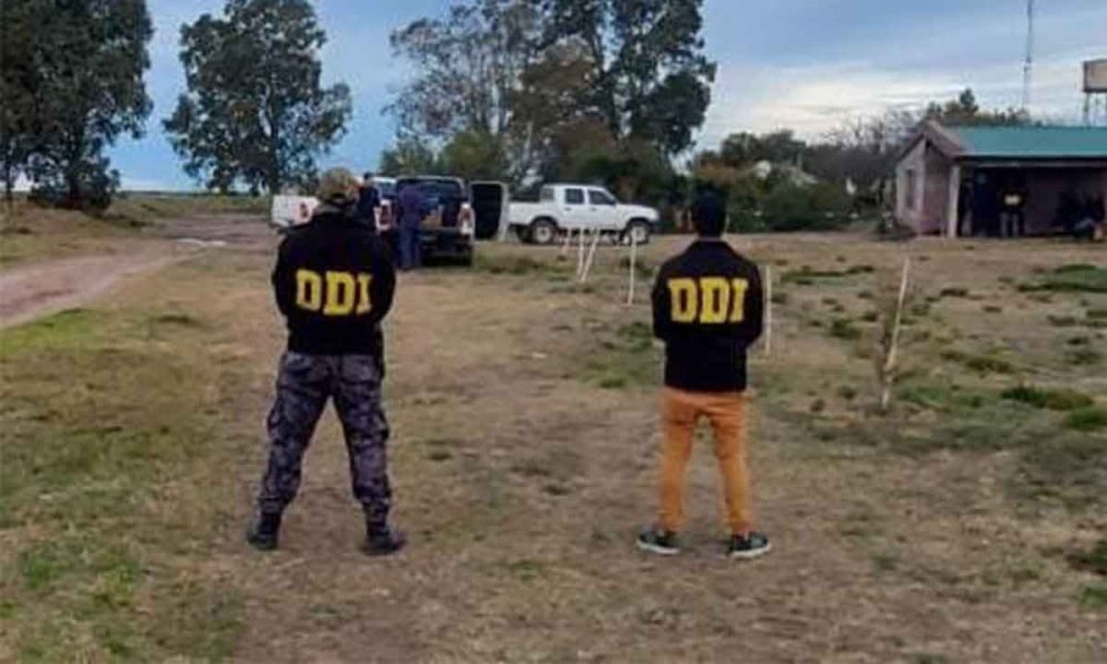 labrujula24's tweet photo. “Uno de los dueños vendió el avión y el otro lo denunció como robado” https://t.co/Fi2AAlSvNW #aviónrobado #pigüé #rociomarengo #tenienteorigone https://t.co/k1nIeVwzDJ