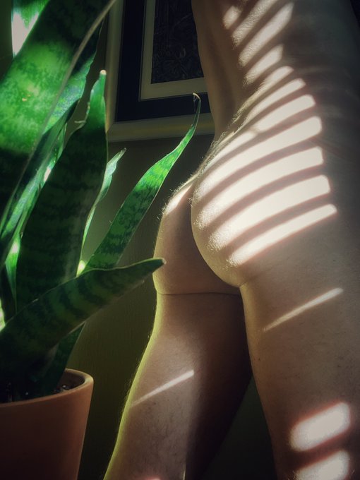 Good morning! https://t.co/7TuNKWugug<a href="/tag/tittytuesday"class="tags"><span>#tittytuesday</span></a>