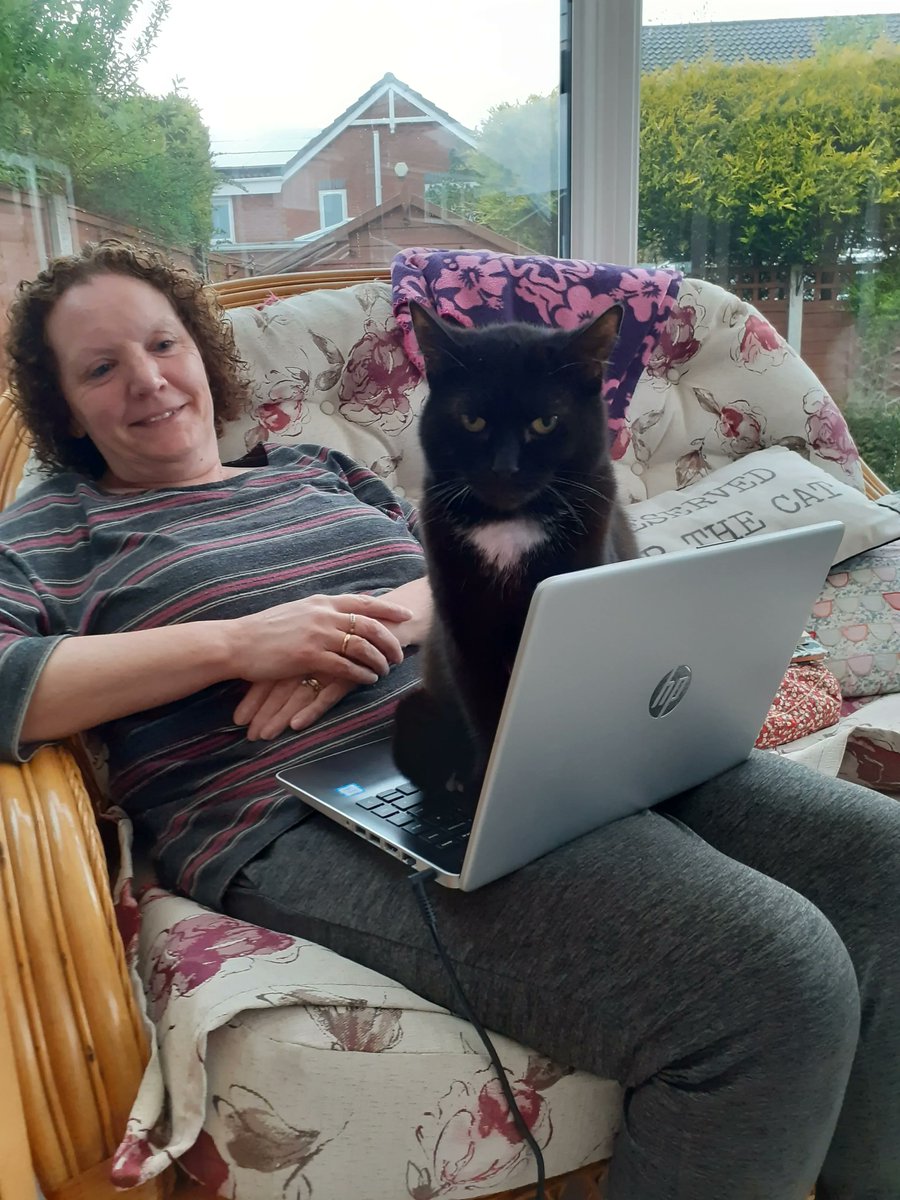 Could you help cats like Pepsi to find their forever home? Volunteer! buff.ly/3LnuFlz

With opportunities in animal care, fundraising, events, office tasks, gardening, cleaning and maintenance... If you love animals and have a skill, or want to be trained up, apply!