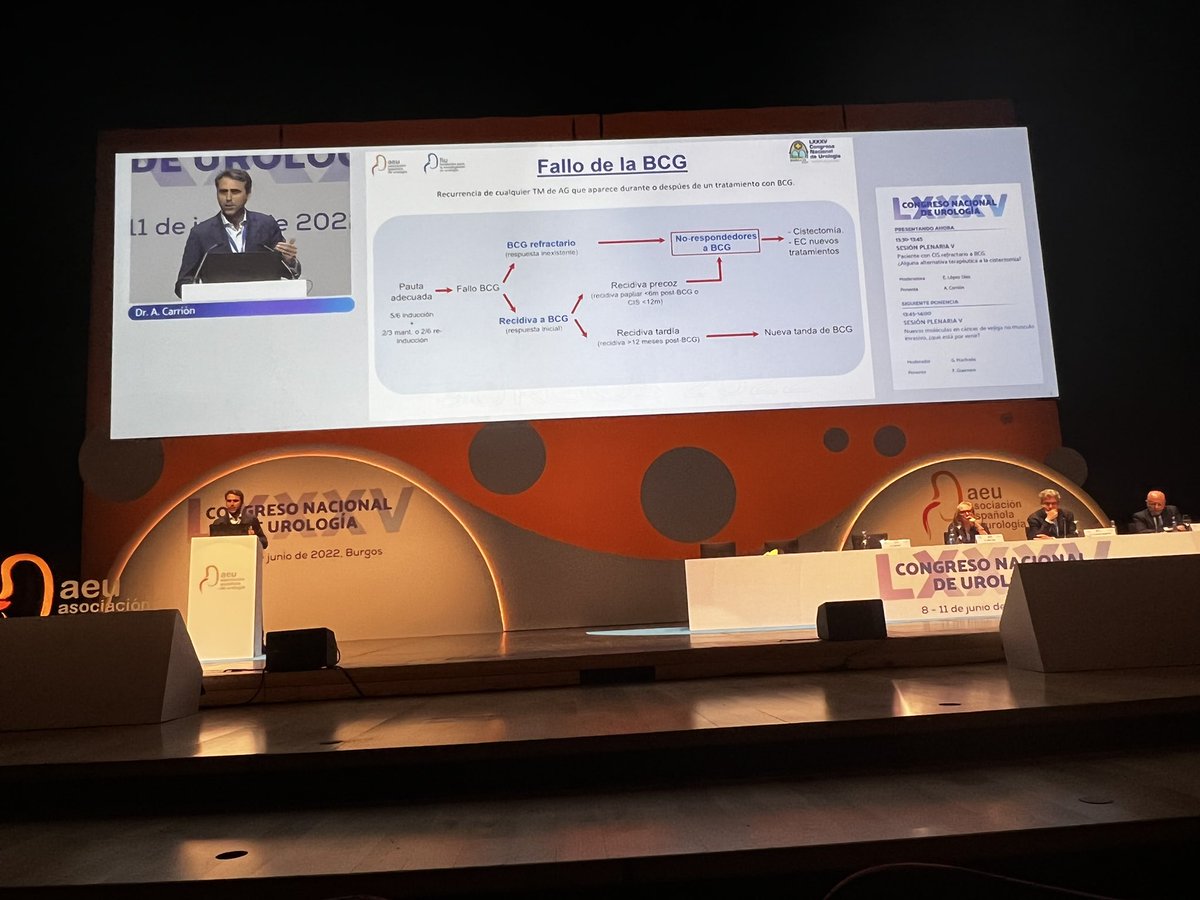 DrFelixGuerrero's tweet photo. @A_Carrion_Puig nos ha repasado de forma excelente todo lo que puede llegar al escenario de #CIS #BCGunresponsive en sesión plenaria #AEU22 https://t.co/jfZ8CmhOb7