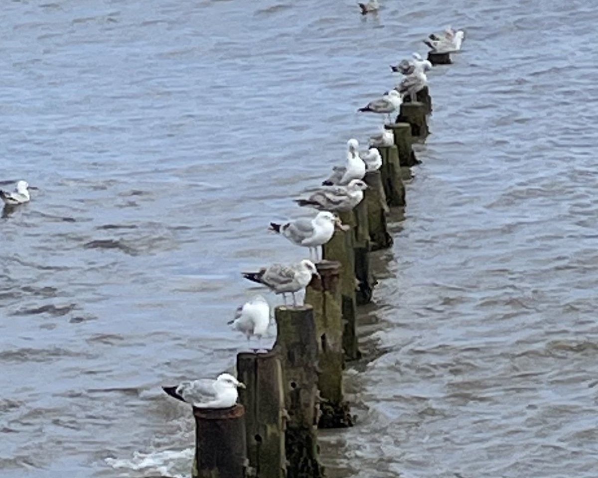 Mark oliver swift (@madswifty7) on Twitter photo 