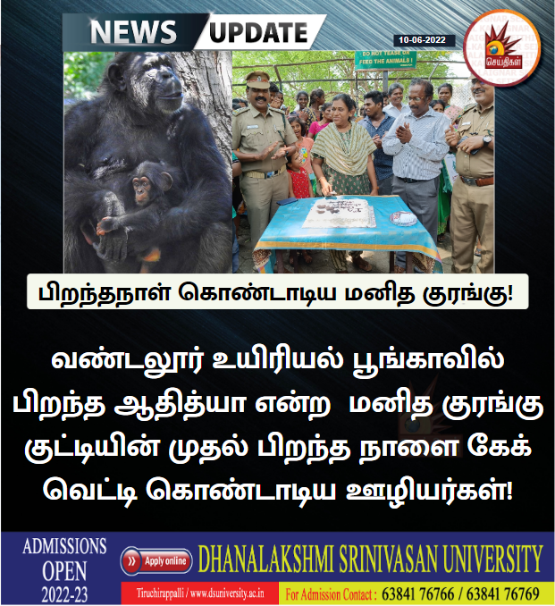 Kalaignarnews's tweet photo. வண்டலூர் உயிரியல் பூங்காவில் பிறந்த ஆதித்யா என்ற மனித குரங்கு குட்டியின் முதல் பிறந்தநாளை கேக் வெட்டி கொண்டாடிய ஊழியர்கள்!
#VandalurZoo #Simians https://t.co/4KTmftIky7