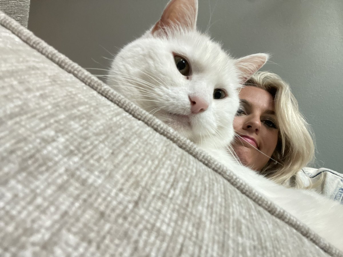Kelsie_Cairns's tweet photo. Cat is here to make sure I feel better ❤️ love my Bonnie girl. Never underestimate the value of sleep, even if your schedule get you out the door at 3 AM. #HealthIsWealth #fridaymorning #amnewslife https://t.co/ENNdd8I4tX