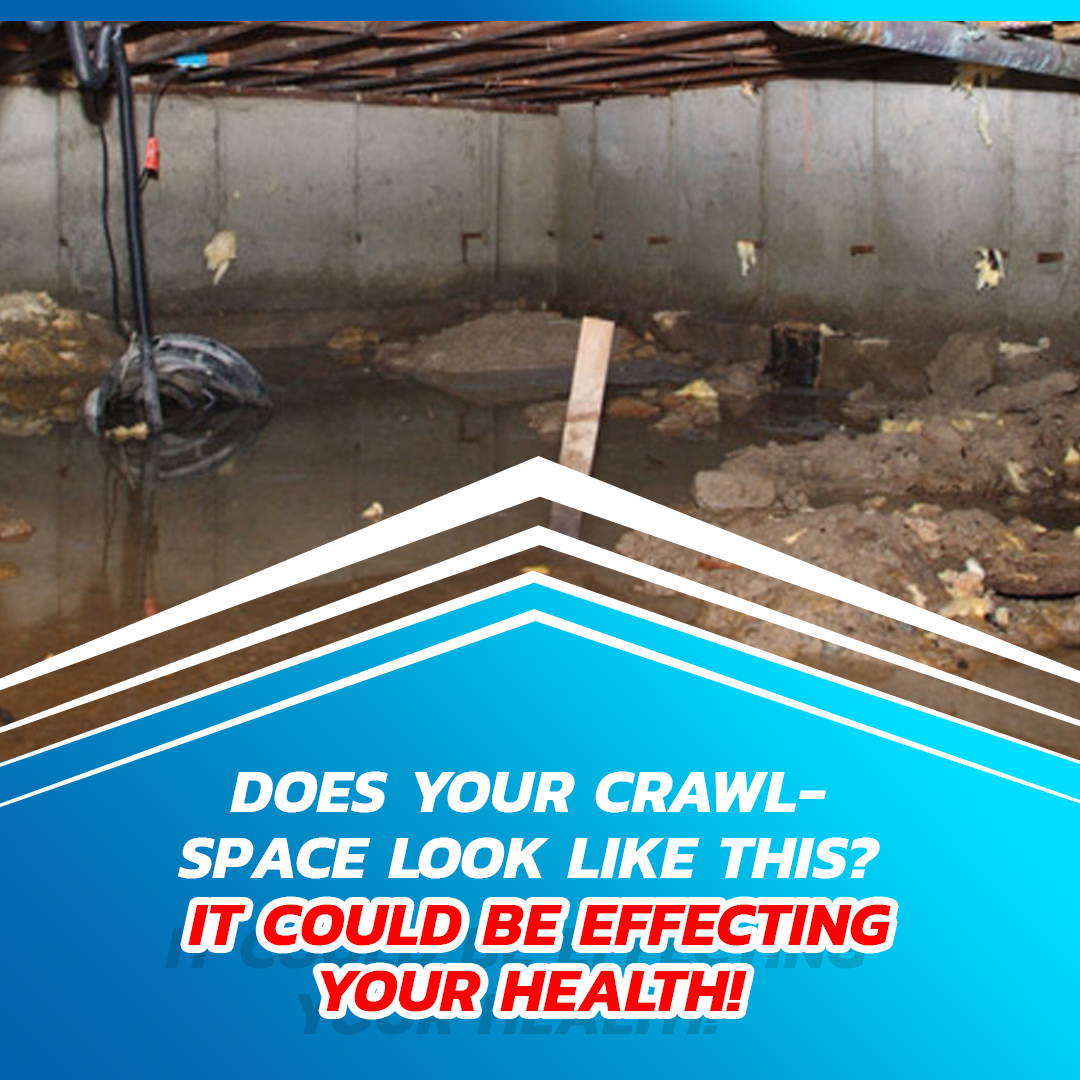 WaterproofMi's tweet image. 