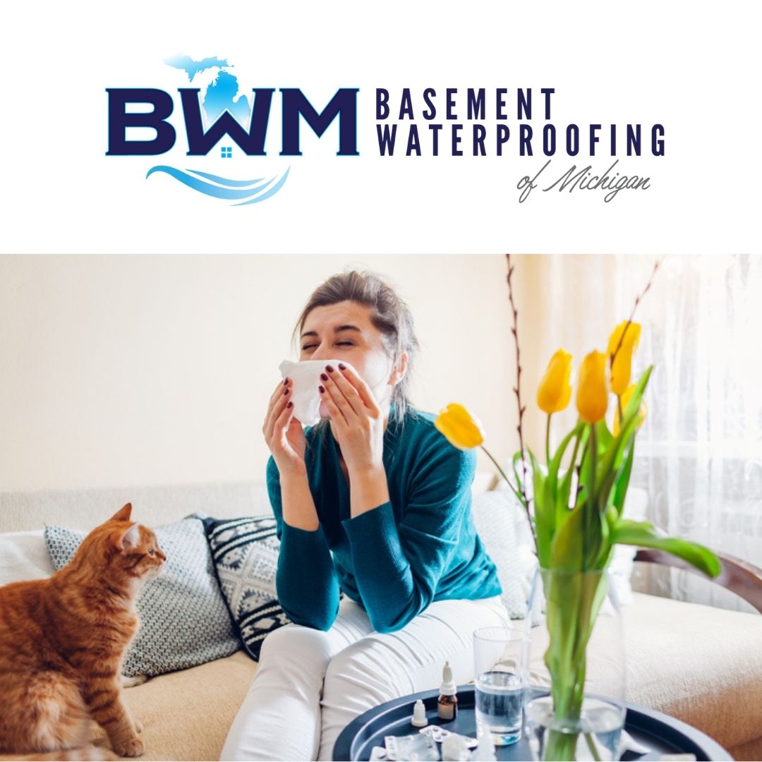 WaterproofMi's tweet image. 