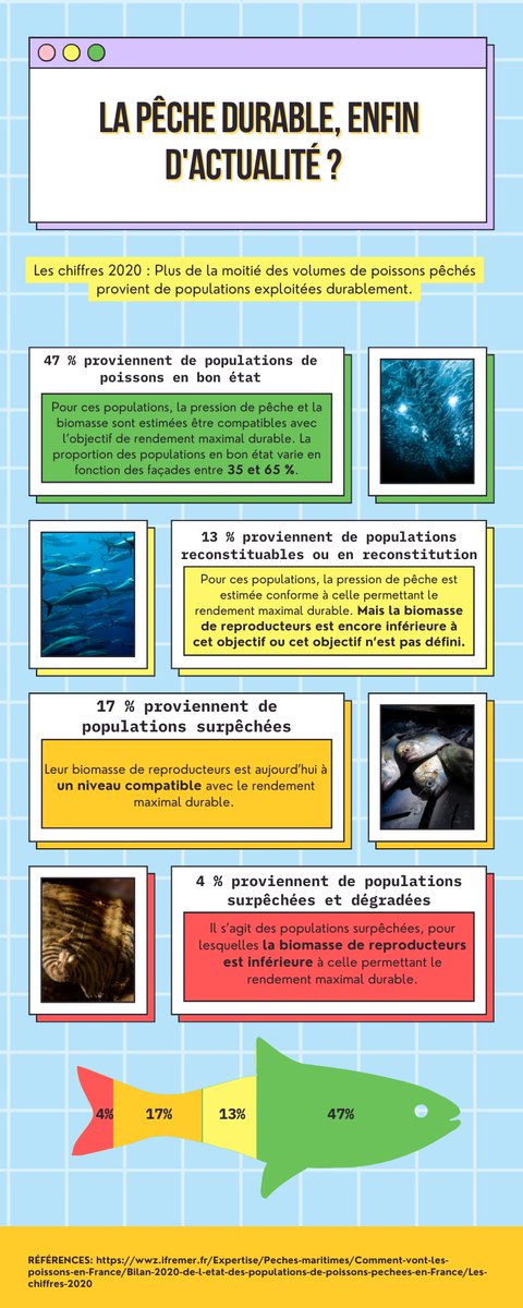 Musée de la Pêche tweet media
