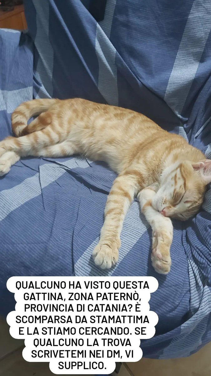 GenesisAnto04's tweet image. Non so quanto possa aiutare visto che il mio profilo twitter è poco seguito e nessuno del mio paese lo segue, ma tentare non nuoce.
Vi prego, aiutatemi a ritrovarla se potete. RITWITTATE SE POSSIBILE