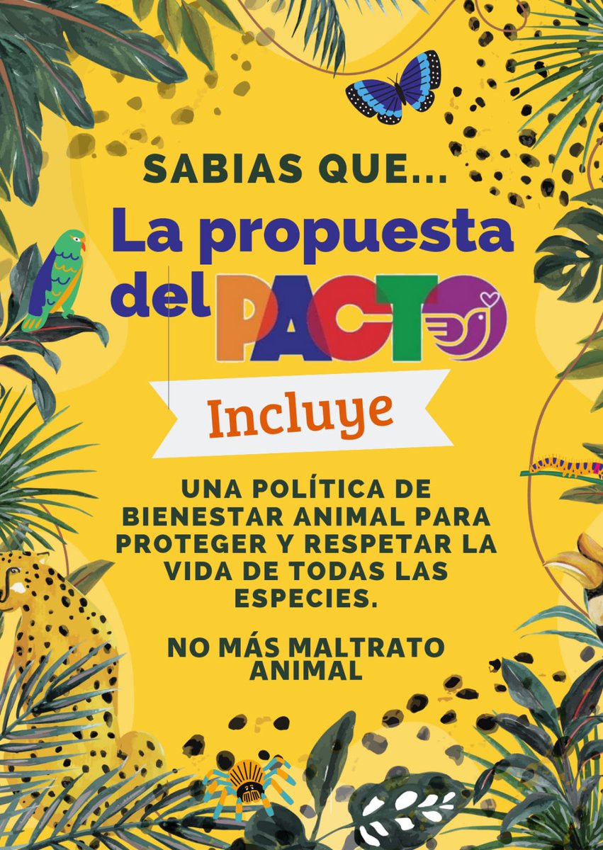 MaffinAngulo's tweet photo. https://t.co/CEqbVcExxD
