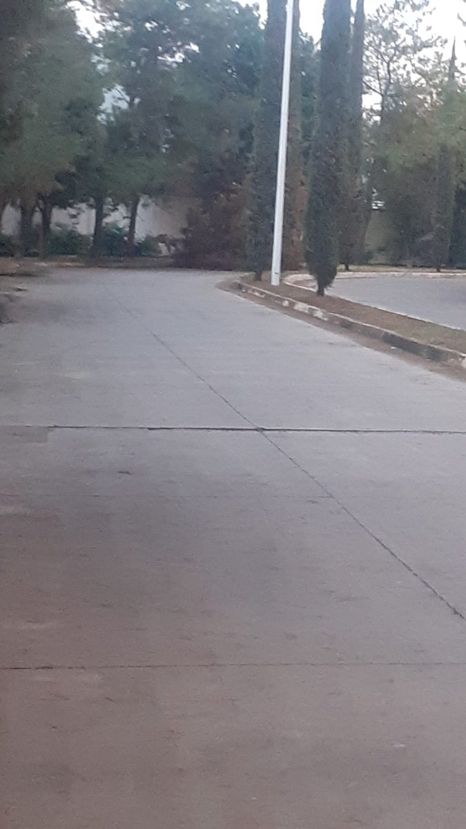 Árbol caido por la lluvia, obstruyendo vialidad en Av. Circuito Valle de San Isidro, frente a Condominio Savia, en Zapopan <a href="/Trafico_ZMG/">TráficoZMGuadalajara</a> <a href="/JuanJoseFrangie/">Juan José Frangie</a> <a href="/MovilidadZap/">Movilidad Zapopan</a> <a href="/Linea_Zapopan/">Línea 24/7 Zapopan</a> <a href="/PoliciaZapopan/">Policía de Zapopan</a> <a href="/UMPCyBZ/">PCyBomberosZapopan</a> obstruyendo totalmente la vialidad