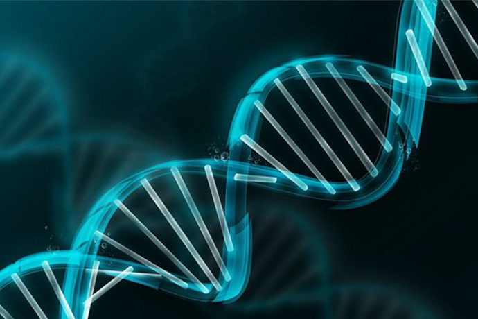 pragma_reports's tweet photo. Next-Generation Sequencing (NGS) Services-global market-2022 to 2027
@illumina @PerkinElmer @Macrogen_Inc @QIAGEN @genewizeu @PersonalisInc @NovogeneAmerica 
Get a sample:https://t.co/ixc0VmXSLG
#NGS #RNA #DNA #exome https://t.co/gltbk2Scyt