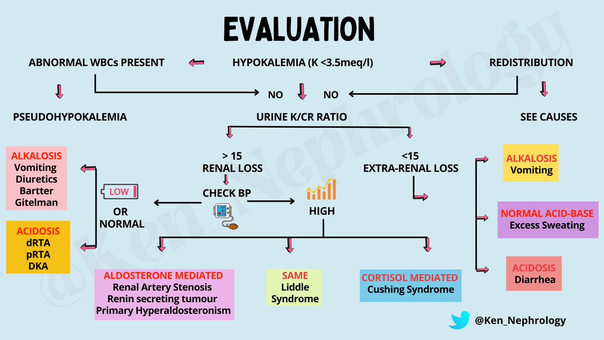 Ken_Nephrology's tweet photo. #KenMakesNephrologyEasy
#KenEasyNotes
#KENSeries

📌Hypokalaemia https://t.co/npf61Xyepj