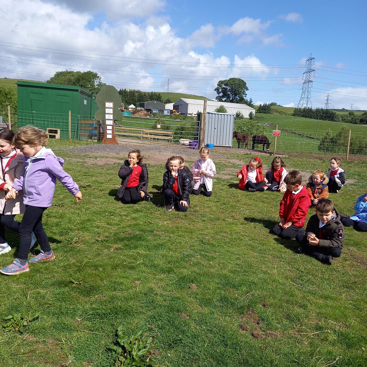 MrsLerpiniere's tweet photo. P1 had a lovely time at Cloybank 🦙🐖🐏🐓⁦@MissRCallaghan⁩ ⁦@MrsAChok⁩ https://t.co/CcZ4PIYSYW