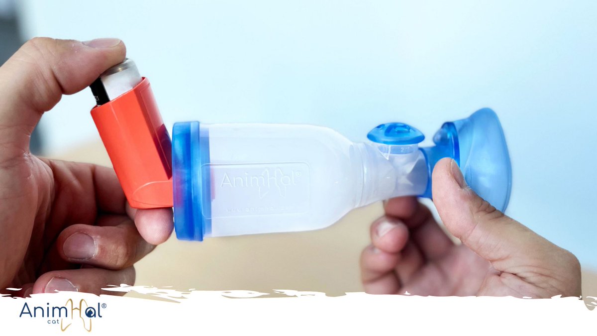 AnimHal_HC's tweet photo. [PETITE CHAMBRE D’INHALATION; GRAND EFFET] Les études sur AnimHal Cat ont démontré sa performance : le fait d’enlever la valve inspiratoires chez les chats de moins de 9kg, permet de multiplier par 2 la déposition pulmonaire du médicament.
#felineasthma #catasthma #catfriendly https://t.co/NYhICodxmc