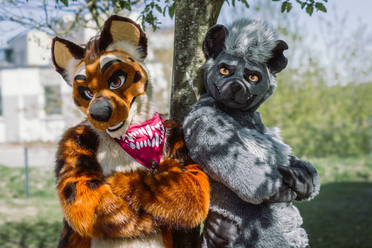 Just two yeens chilling in the shade. Looks like you caught their attention‼️

📷 <a href="/SyndraFox/">Syndra</a>
#FursuitFriday #fursuit