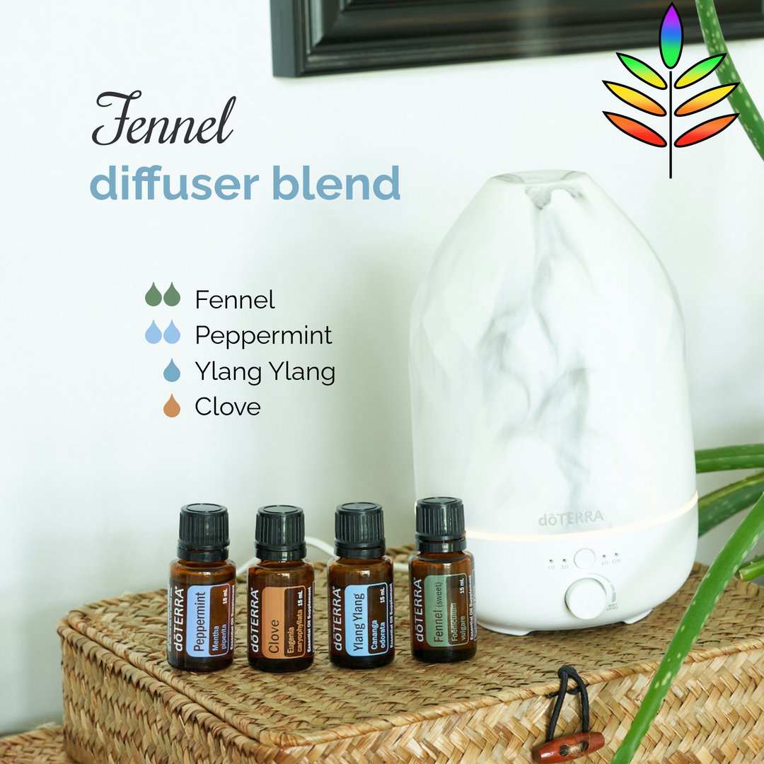 WayneLeiss's tweet photo. Sweeten your space with this Fennel fragrance! 🍯 💛  #adventuresinconnection https://t.co/76bsUhziMH