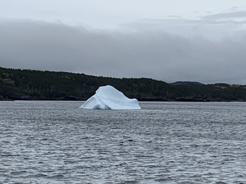 Iceberg, right ahead! <a href="/RoadTripCompany/">The American Road Trip Company</a> <a href="/NLtweets/">NewfoundlandLabrador</a> <a href="/ExploreCanada/">Canada</a> #OpenHall