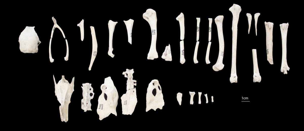 Julia Best tweet media