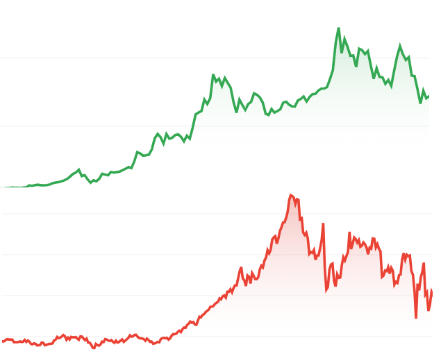 DrCastorp tweet media