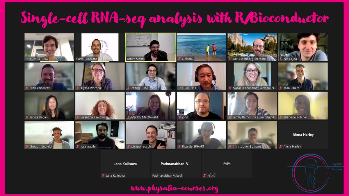 Physalia-courses@ONLINE tweet media