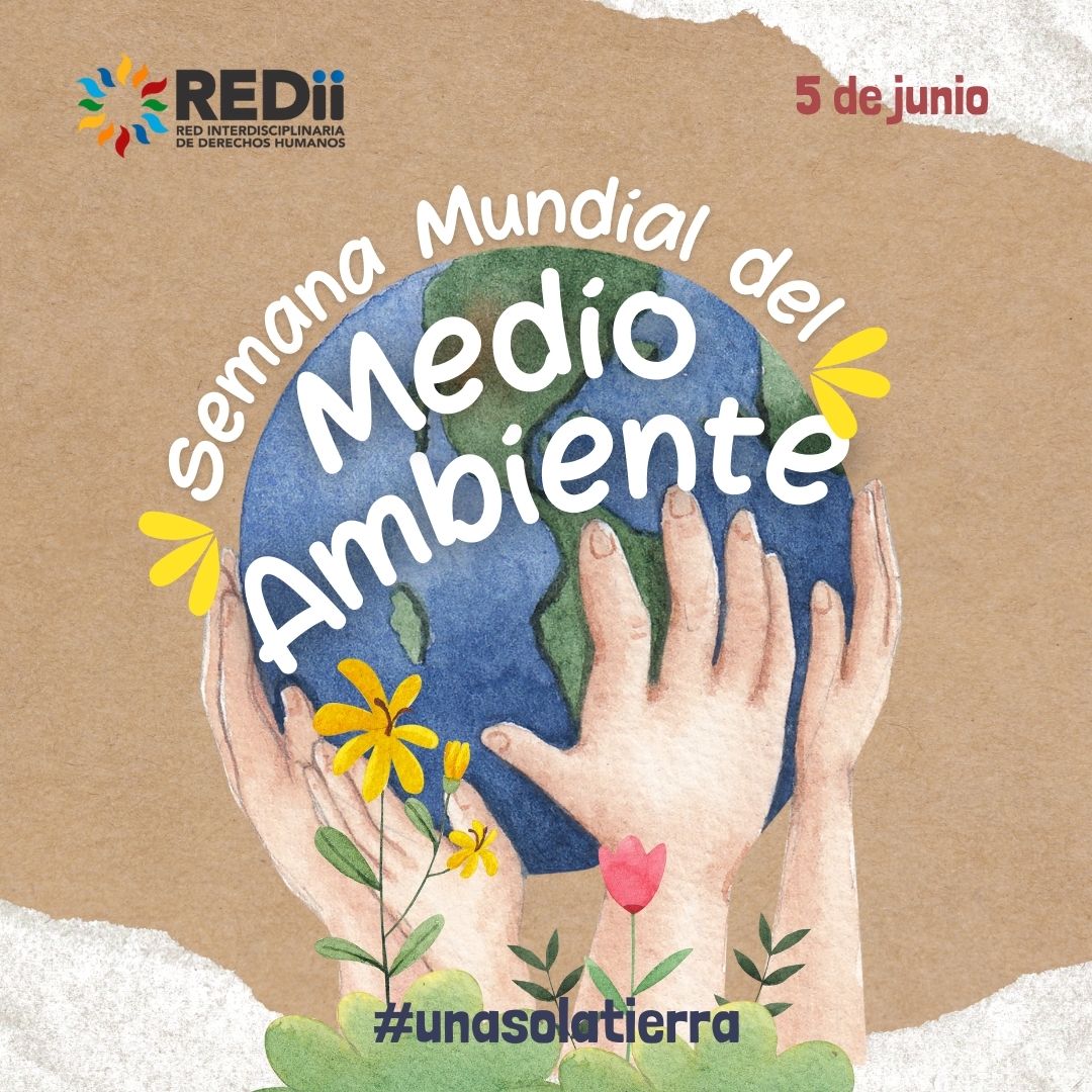 REDii tweet media