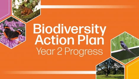 PROGRESS Dundee's Biodiversity action 🏞️£109,000 funding for Nature Restoration Fund 🌳woodland improvements at Balgay Hill 💚enhanced access to greenspaces 🟩sites retained Green Flag status 🏖️Broughty Ferry Beach - Scotland’s Beach Award 🧜2yr Community Environment Officer post