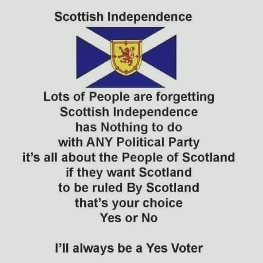 TheLoneWolf1969's tweet photo. again I'm finding that I've got to post this when will people understand this I don't want to unfollow people but it's getting beyond a joke now #ScottishIndependence https://t.co/T1EUeBoIKg