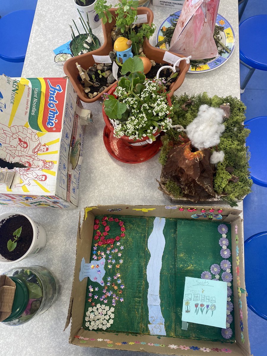 QHAThurrock's tweet photo. Science week has been fantastic! We’ve been so proud of the children’s inquisitive nature, some of the things they’ve found out have been amazing! There’s a few more days to get competition entries in - creating your own garden. Look at the fabulous entries we’ve had so far! https://t.co/XDiLtZ092t