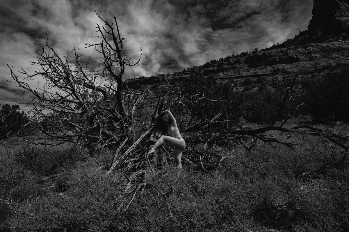 Rikkiz820's tweet photo. https://t.co/BGyMTLN9W2 / @rikkiz820 / @musellc / @muse_show
#BlackAndWhitePhotography #ArtisticNudeModels #NudeInNature #ArtProvocateur #LimitedEdition #GalleryArtist #Monochrome #SilverGelatinPrints #Nudity #Nudism #ArtCollectors #SupportBlackArtist #SupportSmallBusiness #BuyME https://t.co/ZCmxU9Z3ZU
