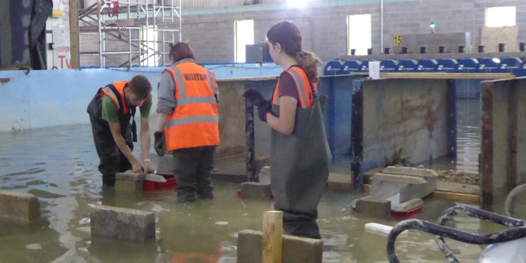 hrwallingford's tweet image. FdSc students from the @Bruneluni Flood &amp;amp; Coastal Engineering course have been on site this week for their summer school.

#floodengineering #coastalengineering #physicalmodelling