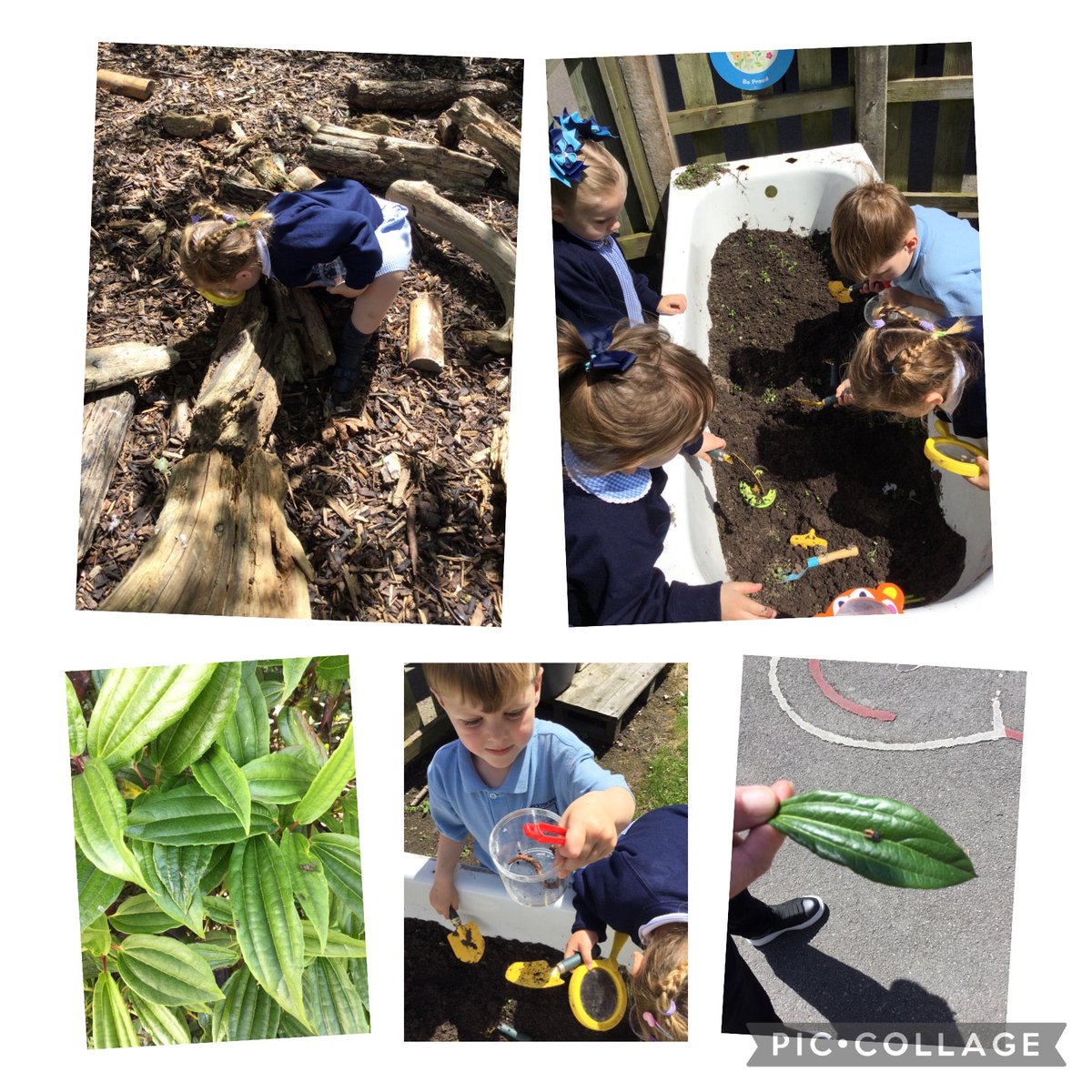 YN Stockton Wood (Nursery) tweet media