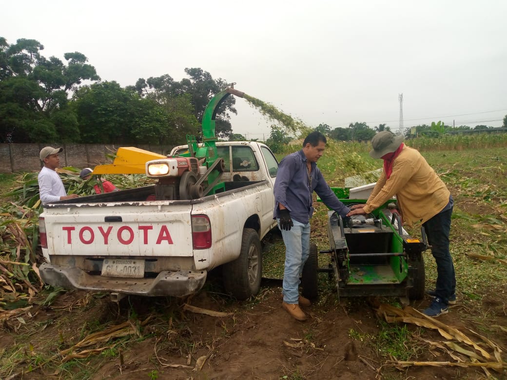 JuanElPerez68's tweet photo. En Milagro| De manera articulada realizamos con productores maiceros de milagro y ganaderos de salitre 200 fundas de ensilaje, que servirán como alternativa nutricional para ganado bovino  y reserva alimenticia en época  de necesidad
¡#JuntosLoLogramos ! https://t.co/0yHKtb6ckD