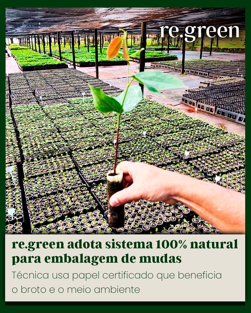 Re Green tweet media