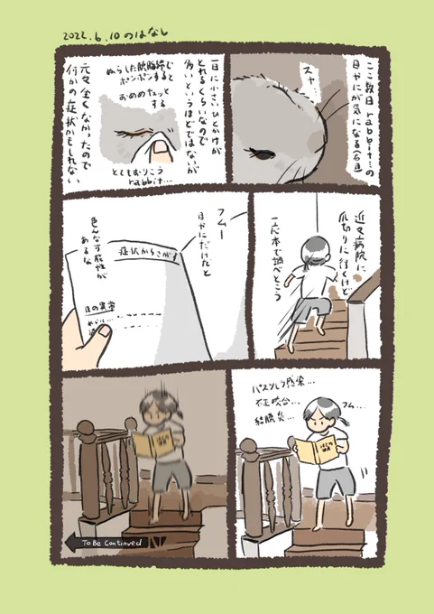 今日のrabbit…
#うさぎのいる生活 