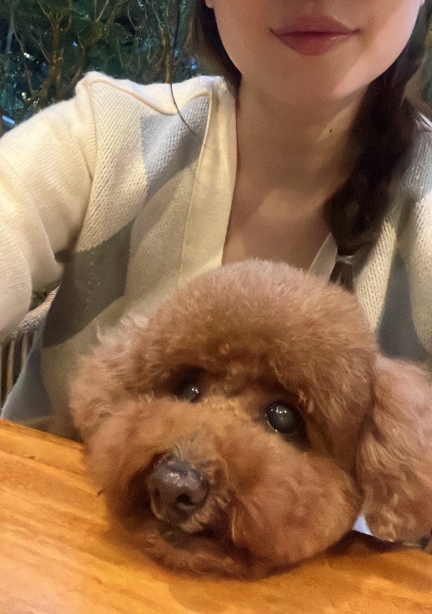 zxcherv's tweet photo. GM ☀️ show me your pet!! https://t.co/0RIo5F5O0S